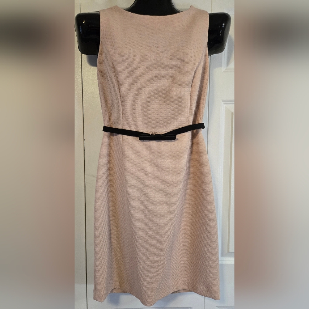 Elegant Soft Pink Sleeveless Dress with Belt and Lace - The Limited, size 12